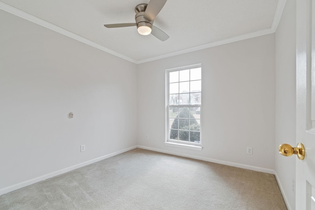 2639 Danbury Cir, Spring Hill, TN 37174 - photo 25