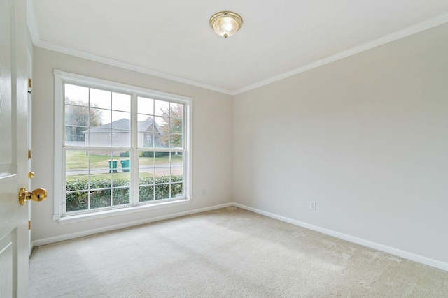 2639 Danbury Cir, Spring Hill, TN 37174 - photo 23