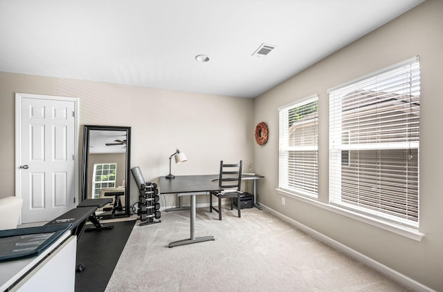 9021 Macauley Ln, Nolensville, TN 37135 - photo 53