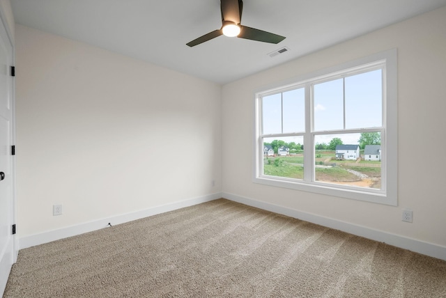222 Wesson Dr, Clarksville, TN 37043 - photo 25