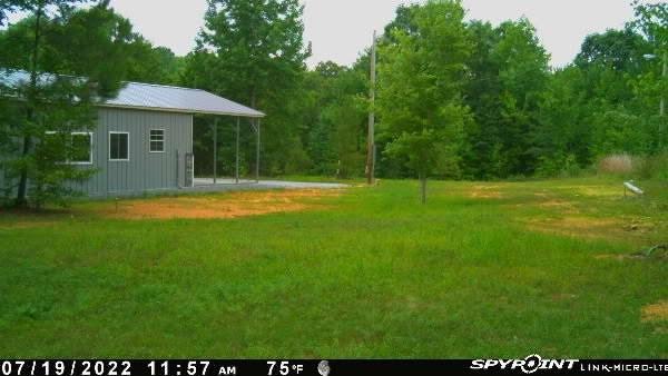 3412 Dogwood Rd, Hurricane Mills, TN 37078 - photo 2