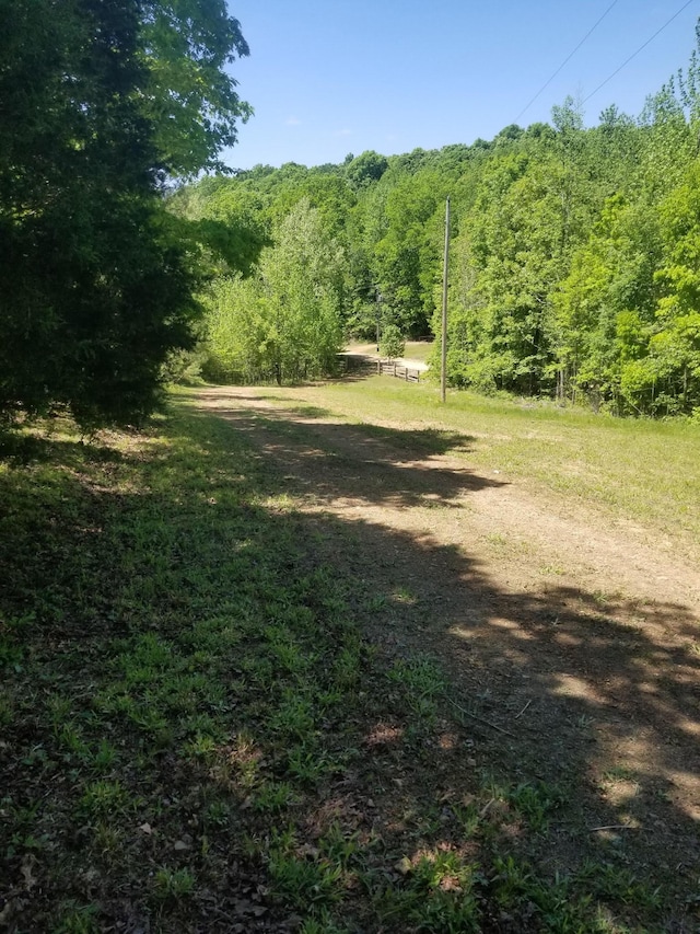 3412 Dogwood Rd, Hurricane Mills, TN 37078 - photo 5