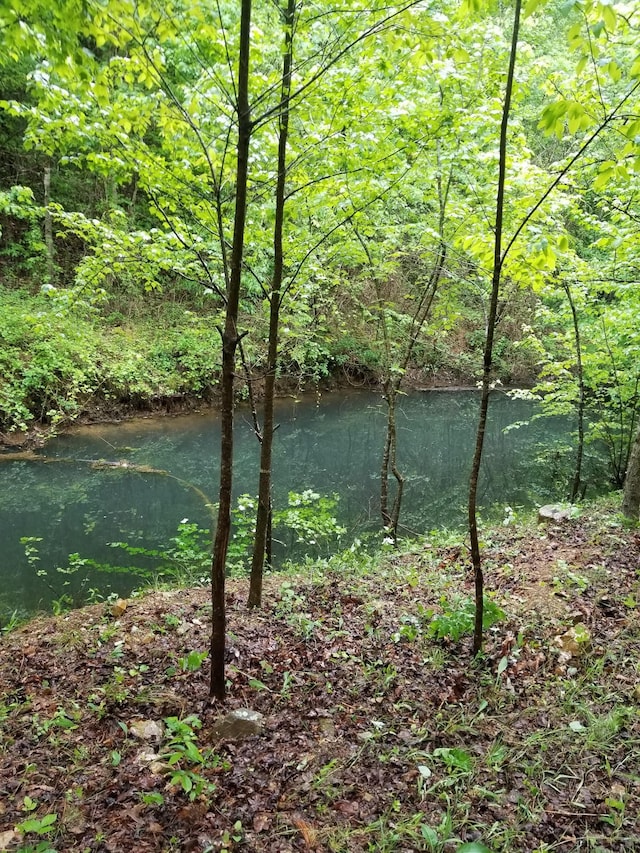 3412 Dogwood Rd, Hurricane Mills, TN 37078 - photo 8