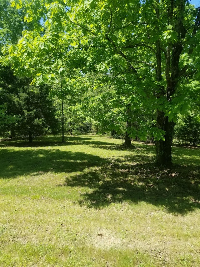 3412 Dogwood Rd, Hurricane Mills, TN 37078 - photo 6