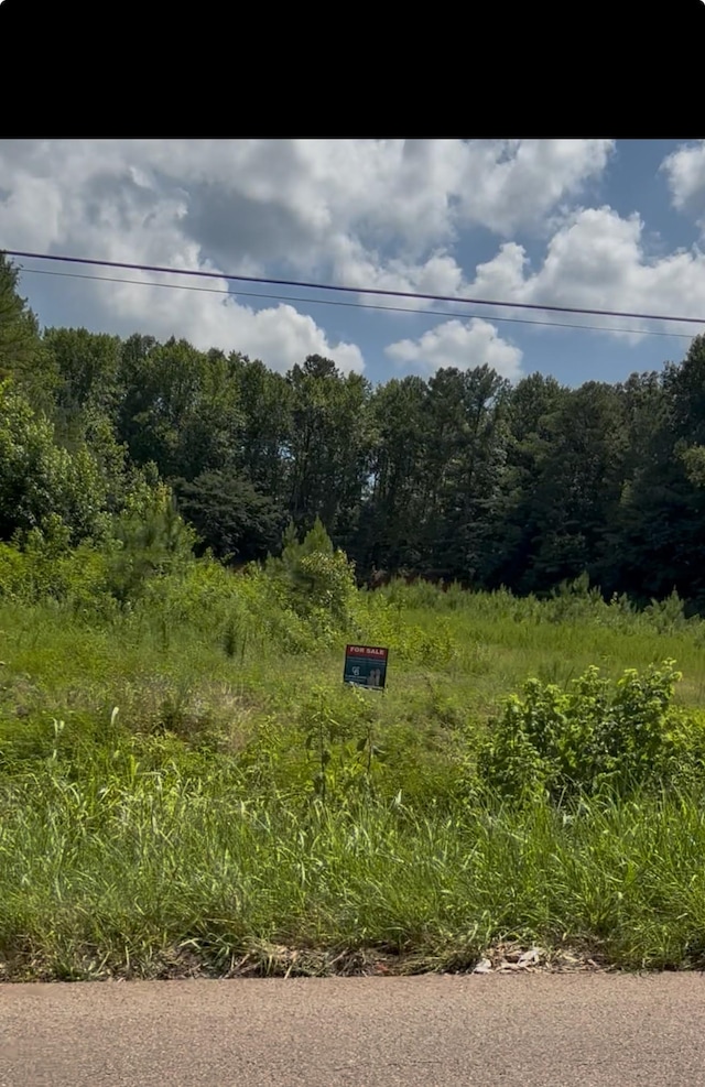0 W Point Rd, Lawrenceburg, TN 38464 - photo 2