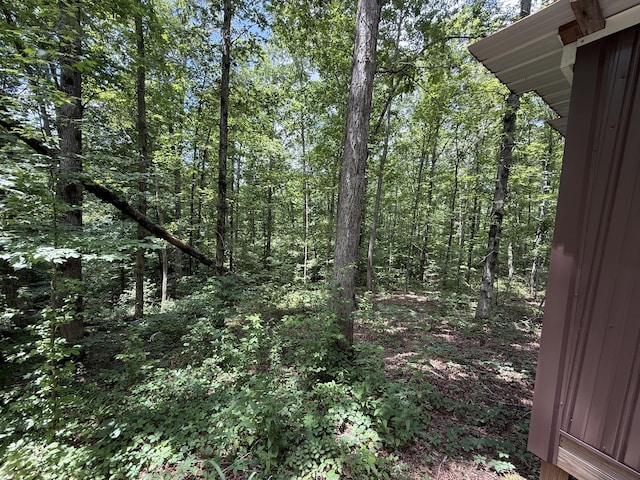 139 Water Tower Rd, Westpoint, TN 38486 - photo 12