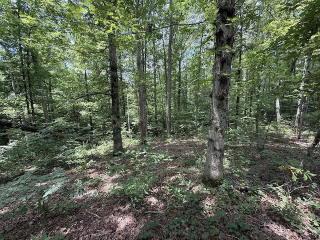 139 Water Tower Rd, Westpoint, TN 38486 - photo 11