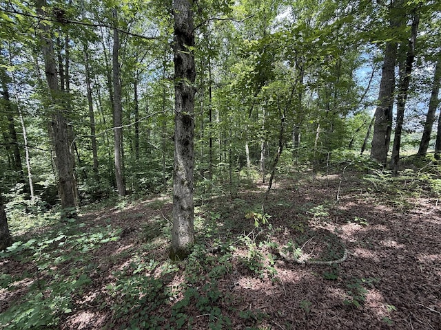 139 Water Tower Rd, Westpoint, TN 38486 - photo 10