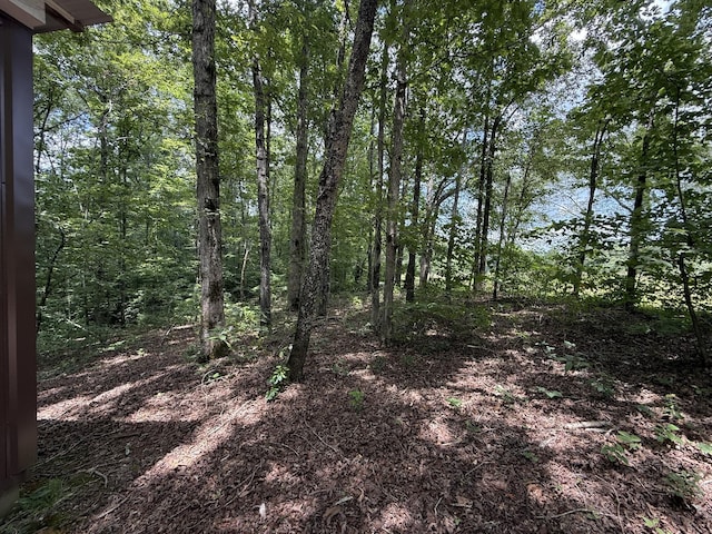 139 Water Tower Rd, Westpoint, TN 38486 - photo 8