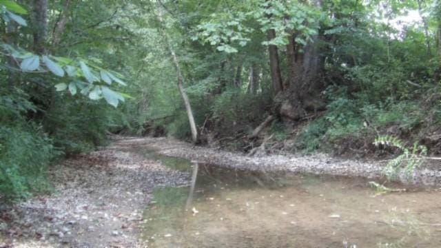 925 Collins Rd, Red Boiling Springs, TN 37150 - photo 69