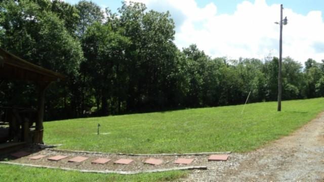 925 Collins Rd, Red Boiling Springs, TN 37150 - photo 53