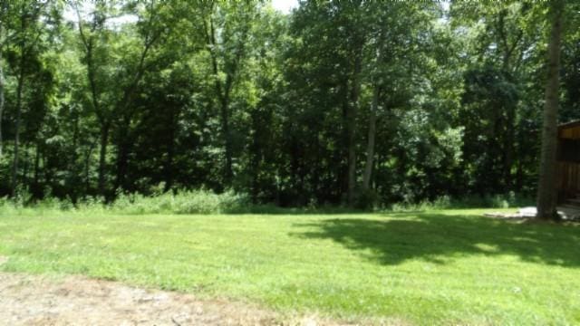 925 Collins Rd, Red Boiling Springs, TN 37150 - photo 51