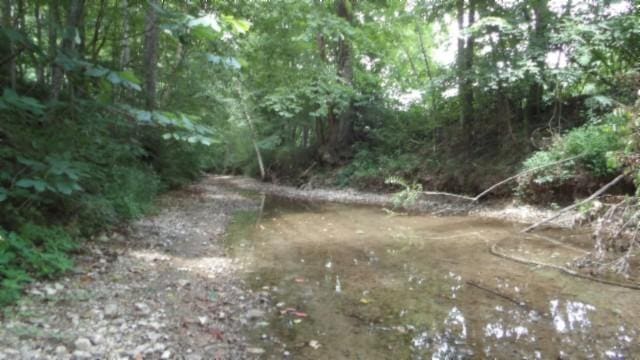 925 Collins Rd, Red Boiling Springs, TN 37150 - photo 67