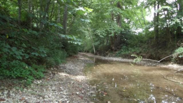 925 Collins Rd, Red Boiling Springs, TN 37150 - photo 68