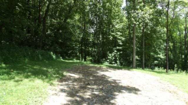 925 Collins Rd, Red Boiling Springs, TN 37150 - photo 49