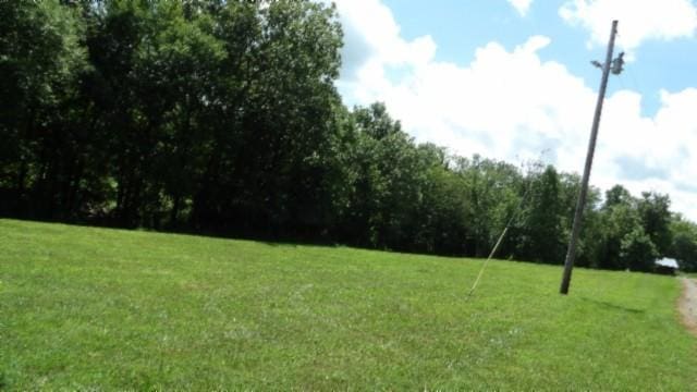 925 Collins Rd, Red Boiling Springs, TN 37150 - photo 55