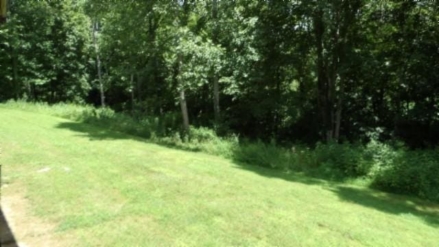 925 Collins Rd, Red Boiling Springs, TN 37150 - photo 59