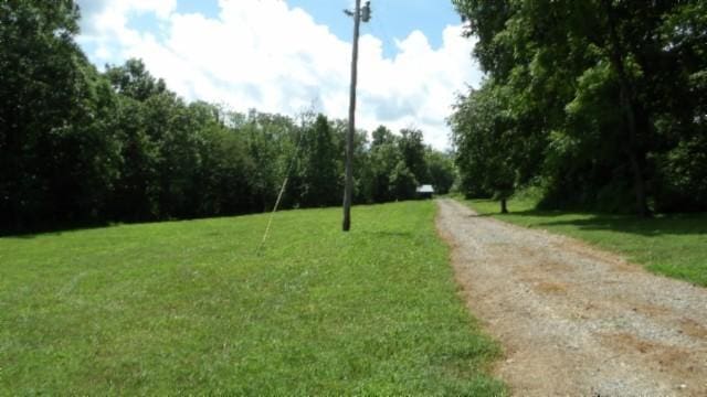 925 Collins Rd, Red Boiling Springs, TN 37150 - photo 58