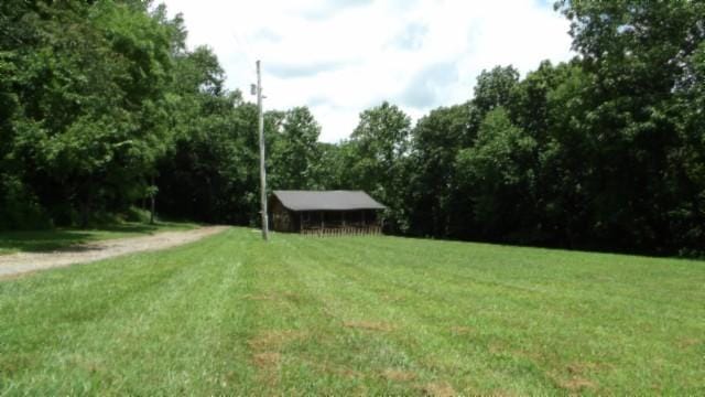 925 Collins Rd, Red Boiling Springs, TN 37150 - photo 62