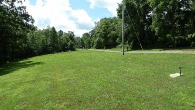 925 Collins Rd, Red Boiling Springs, TN 37150 - photo 60