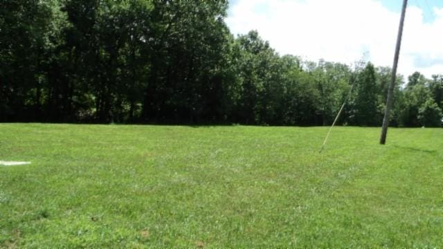 925 Collins Rd, Red Boiling Springs, TN 37150 - photo 54