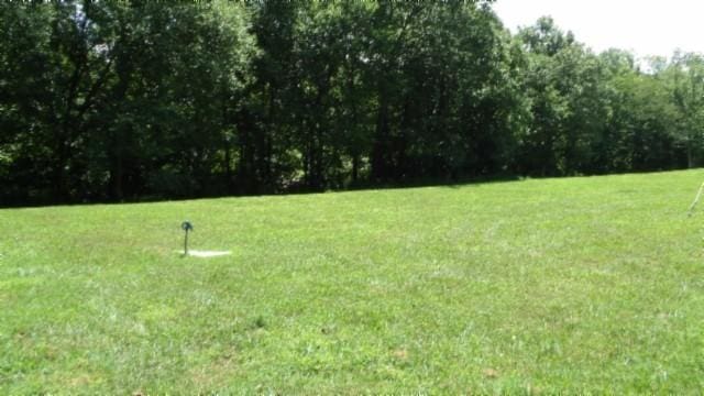 925 Collins Rd, Red Boiling Springs, TN 37150 - photo 57