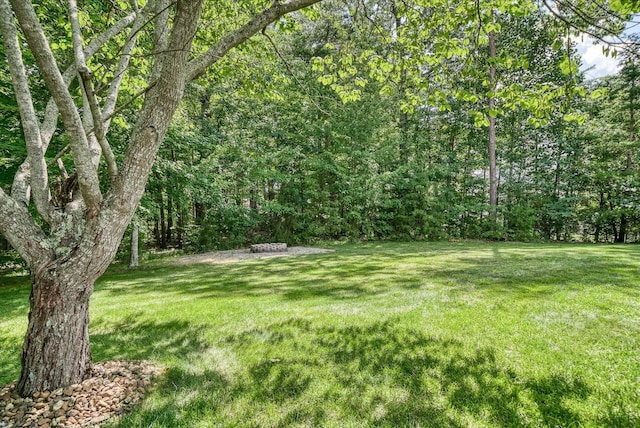 45 Daybreak Ln, Crossville, TN 38571 - photo 14