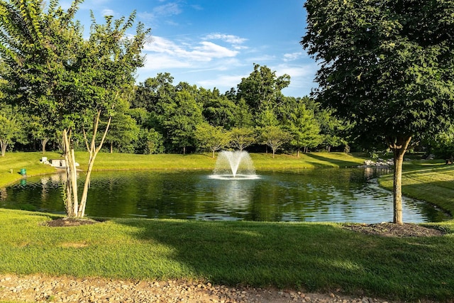 6050 Huntmere Ave, Franklin, TN 37064 - photo 82