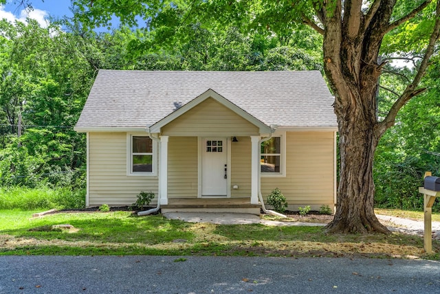 1001 Kendrick St, Clarksville, TN 37043 - photo 3