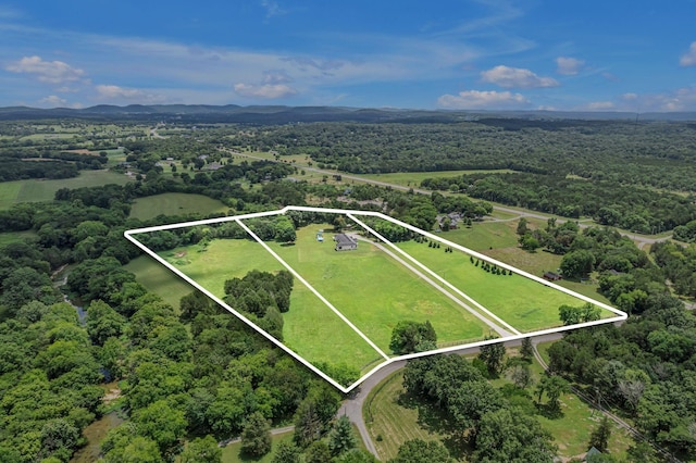 7200 Primrose Ln, Lascassas, TN 37085 - photo 48