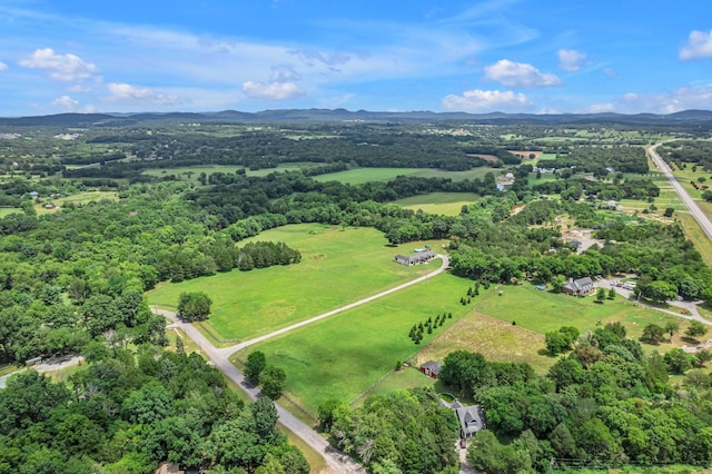 7200 Primrose Ln, Lascassas, TN 37085 - photo 49