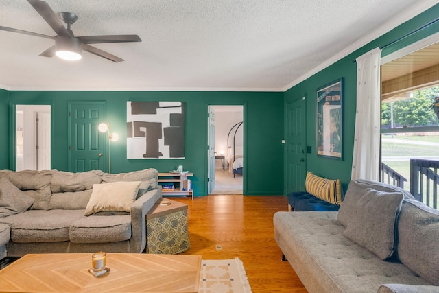 104 Donna Dr, Madison, TN 37115 - photo 11