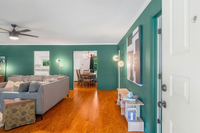 104 Donna Dr, Madison, TN 37115 - photo 5