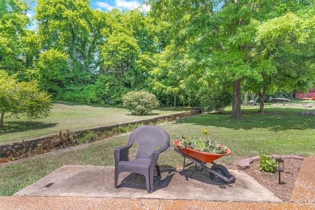 104 Donna Dr, Madison, TN 37115 - photo 34