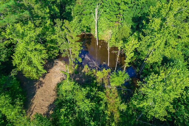 0 Foster Rd, Middleton, TN 38052 - photo 9