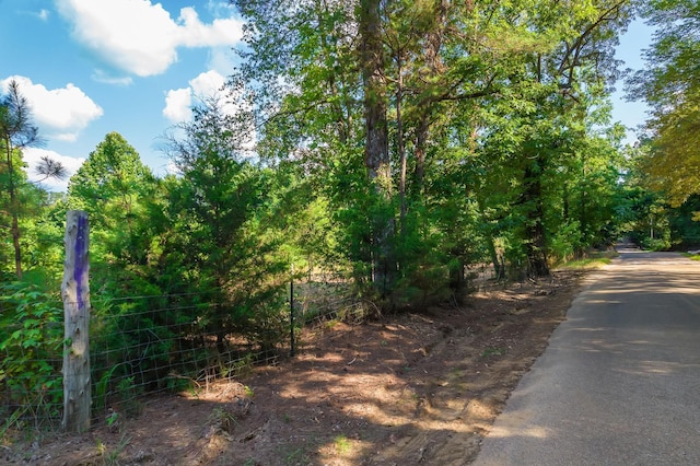 0 Foster Rd, Middleton, TN 38052 - photo 11