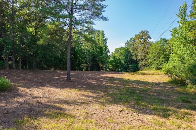 0 Foster Rd, Middleton, TN 38052 - photo 13