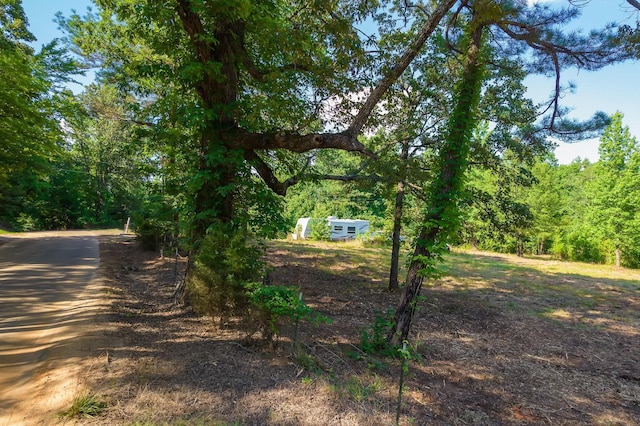 0 Foster Rd, Middleton, TN 38052 - photo 10