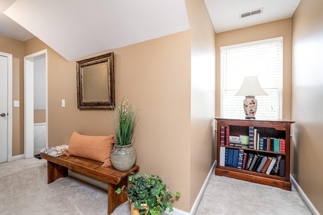 116 Winter Wood Dr N, Murfreesboro, TN 37129 - photo 40