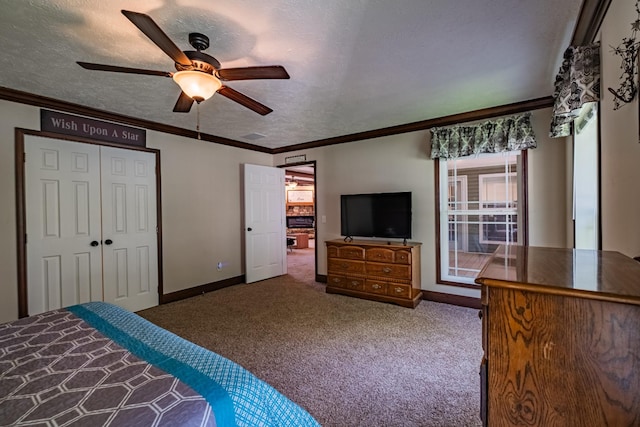 3197 Rock Creek Rd, Estill Springs, TN 37330 - photo 26