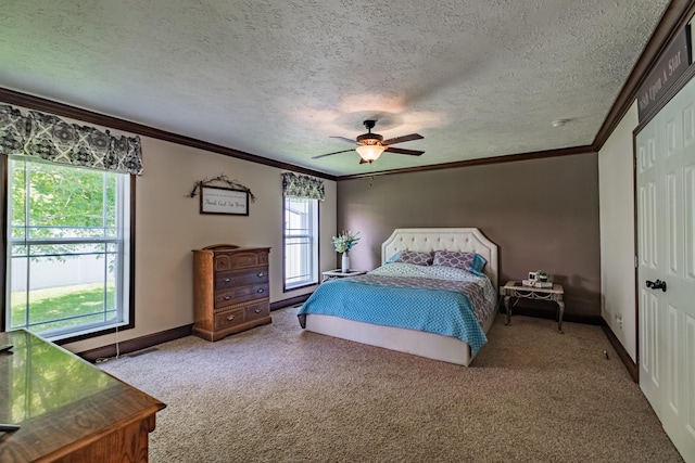3197 Rock Creek Rd, Estill Springs, TN 37330 - photo 27