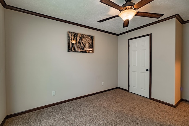3197 Rock Creek Rd, Estill Springs, TN 37330 - photo 40