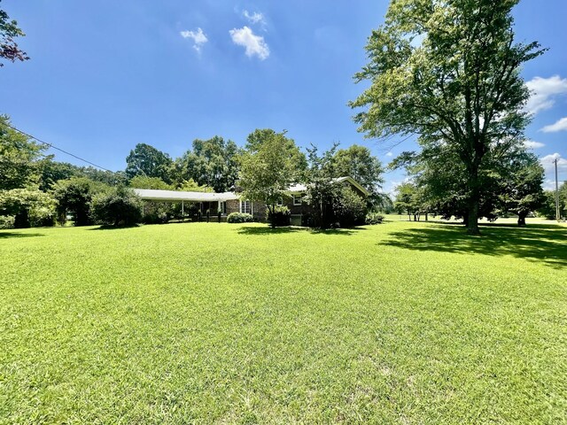 79 Bishop Rd, Lawrenceburg, TN 38464 - photo 6