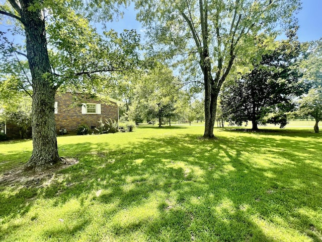 79 Bishop Rd, Lawrenceburg, TN 38464 - photo 5