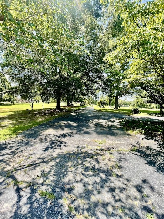 79 Bishop Rd, Lawrenceburg, TN 38464 - photo 10