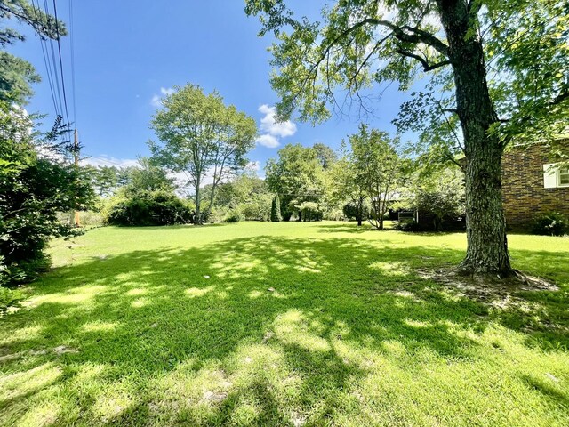 79 Bishop Rd, Lawrenceburg, TN 38464 - photo 4