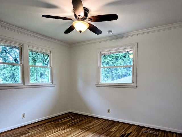 2806 Shauna Ct, Nashville, TN 37214 - photo 12