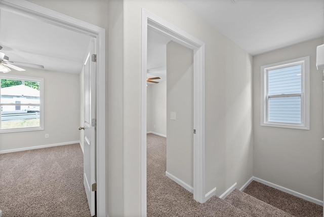 839 Cumberland Dr, Clarksville, TN 37040 - photo 16