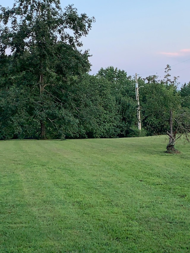 2775 Airport Rd, Centerville, TN 37033 - photo 47