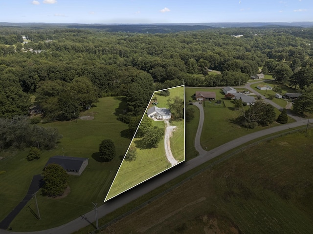 2775 Airport Rd, Centerville, TN 37033 - photo 51